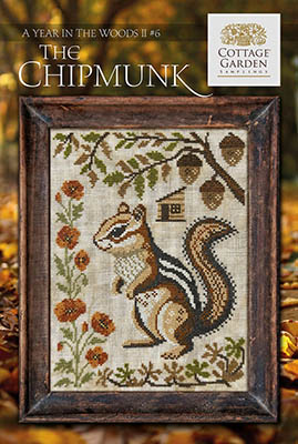 A Year In The Woods II - The Chipmunk