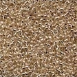 Champagne 42027 Champagne 42027