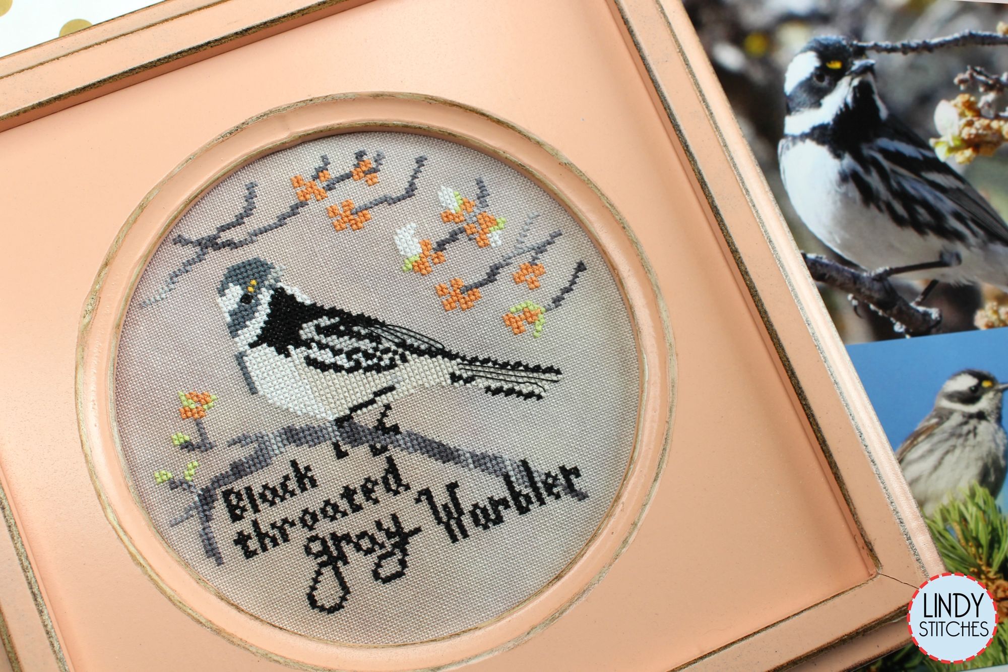 Bird Crush Club #4 - Black-Throated Gray Warbler - Click Image to Close