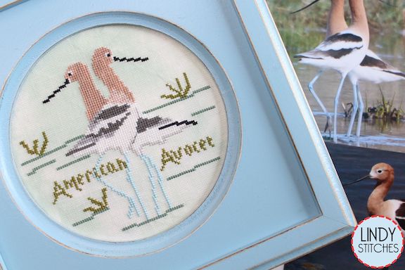 Bird Crush Club #7 - American Avocet