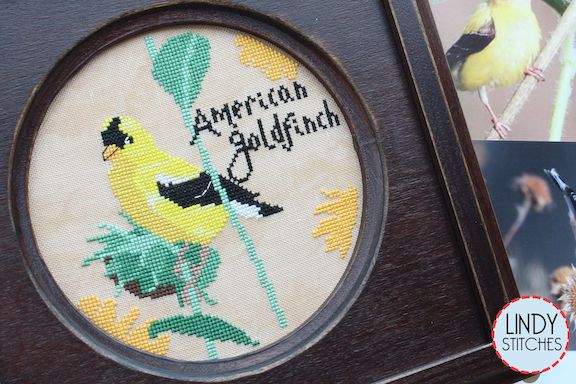 Bird Crush Club #9 - American Goldfinch