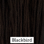 Blackbird