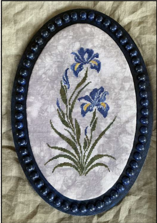 Blue Iris