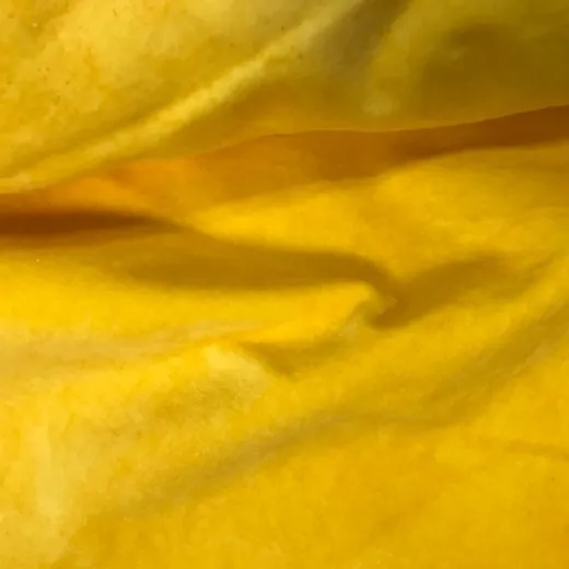 Daffodil Velveteen Daffodil Velveteen