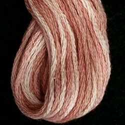 Nantucket Rose - JP5