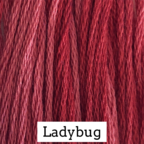 Ladybug - Click Image to Close