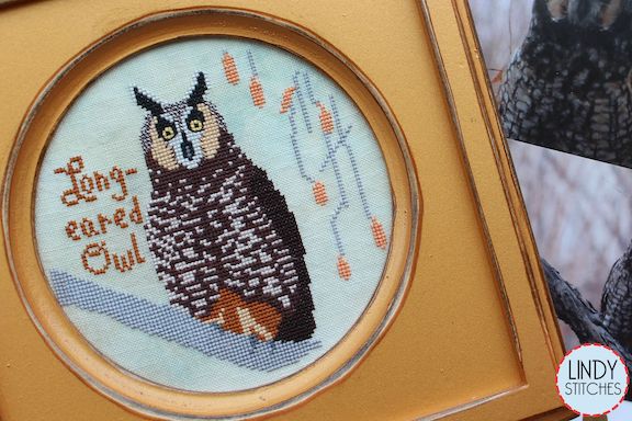 Bird Crush Club #10 - Long-Eared Owl