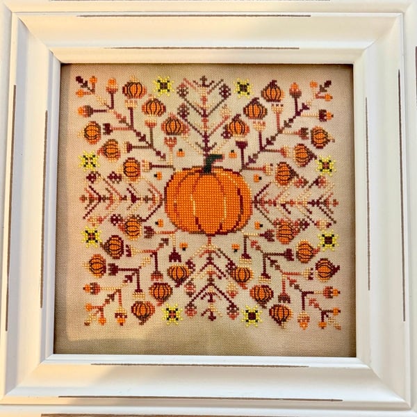 Pumpkin Patch