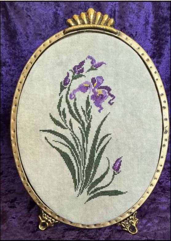 Purple Iris