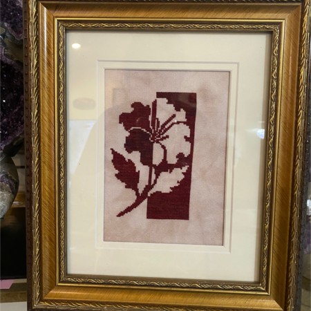 Hibiscus