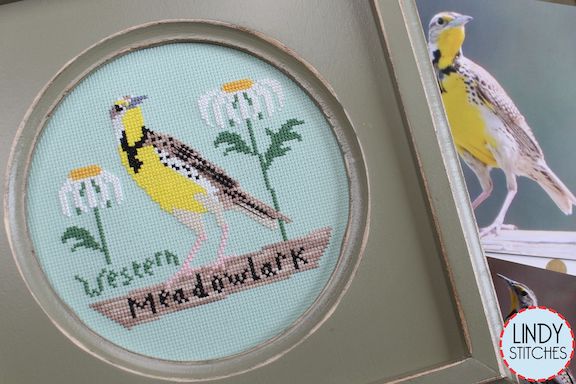 Bird Crush Club #6 - Western Meadowlark