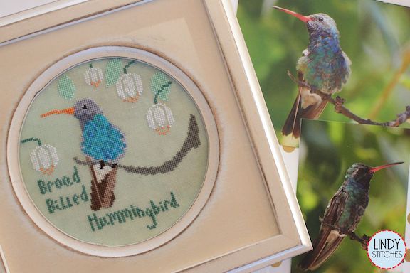 Bird Crush Club #3 - Broad Billed Hummingbird - Click Image to Close