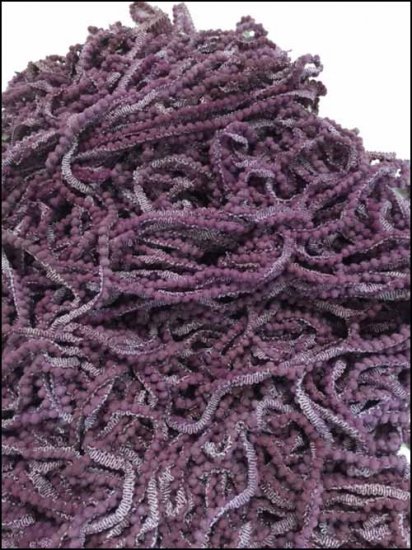 Grape Fizz - Pom Pom